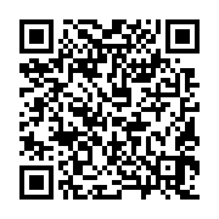 QR code for 385743