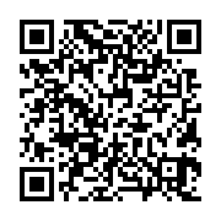 QR code for 385761