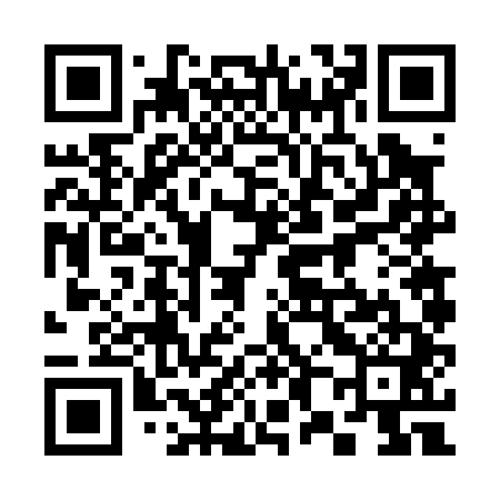 QR code for 386041