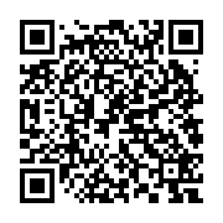 QR code for 386229