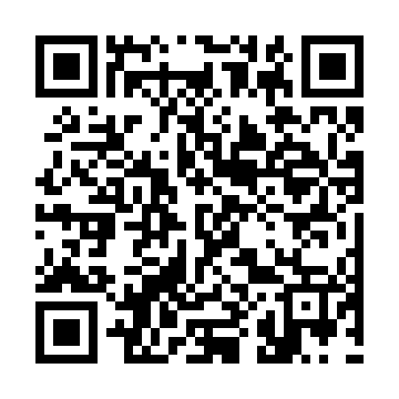 QR code for 386247