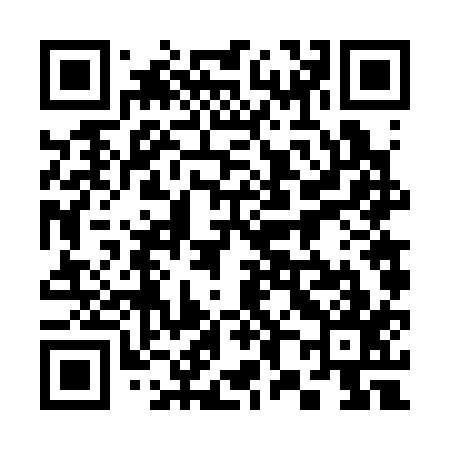 QR code for 386317