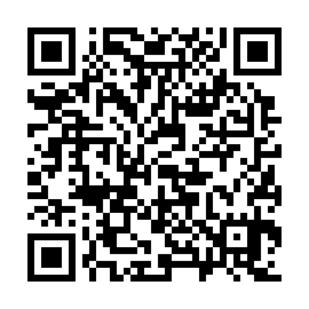 QR code for 386335