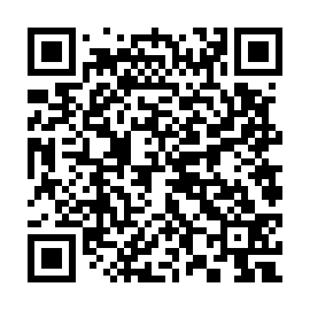 QR code for 386533