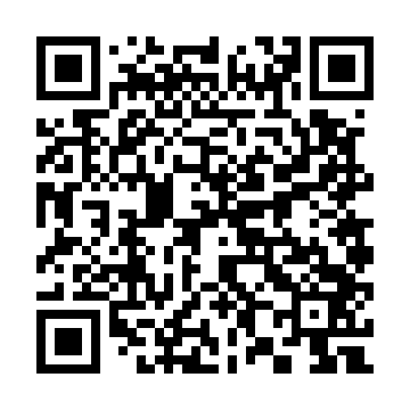 QR code for 386543