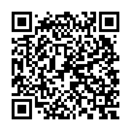 QR code for 386655