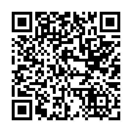 QR code for 386696