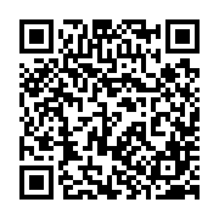 QR code for 386786