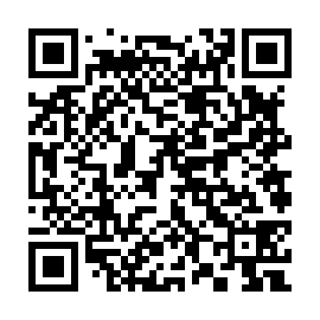QR code for 386838