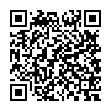 QR code for 386868