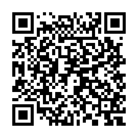 QR code for 387101