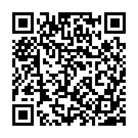 QR code for 387372