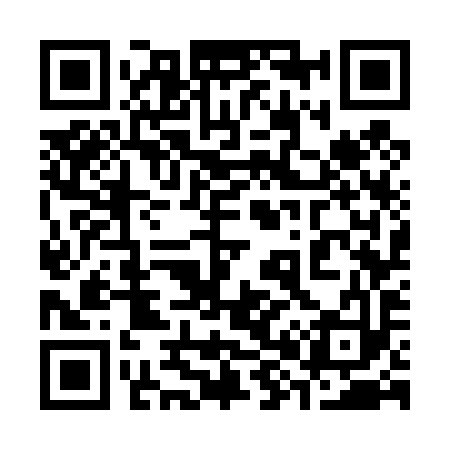 QR code for 387493
