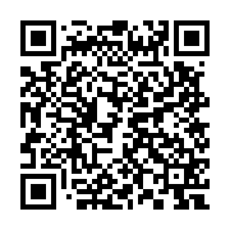 QR code for 387561