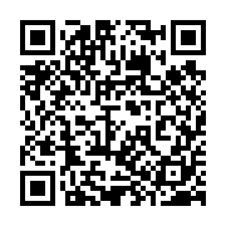 QR code for 387650