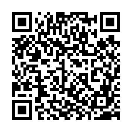 QR code for 387666