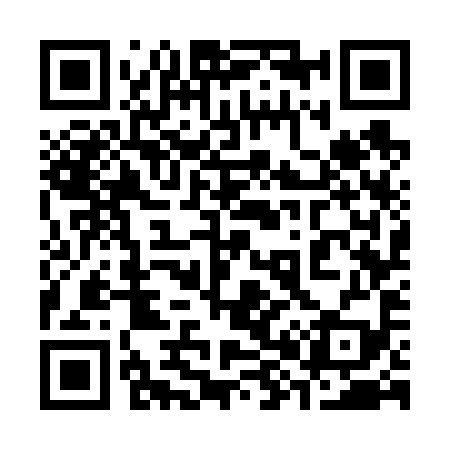 QR code for 387699