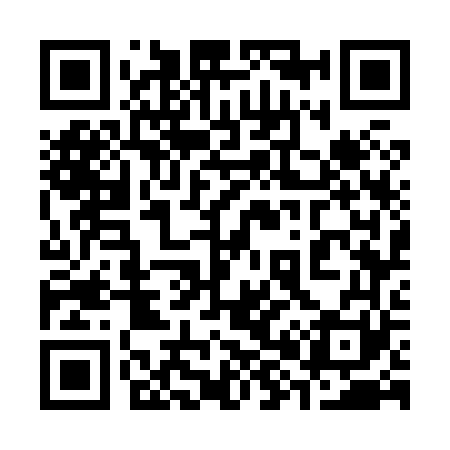 QR code for 387861