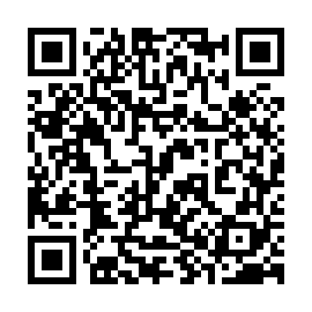 QR code for 387868