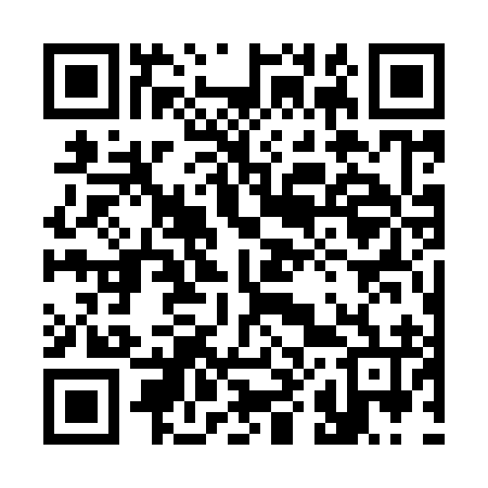 QR code for 387996