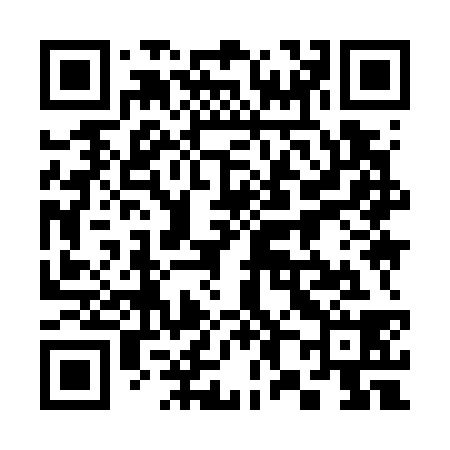 QR code for 389738