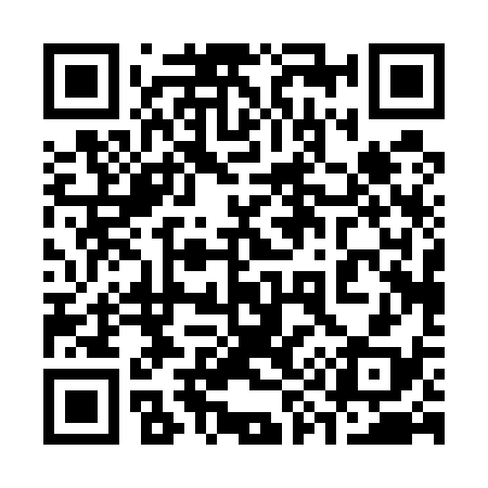 QR code for 390538