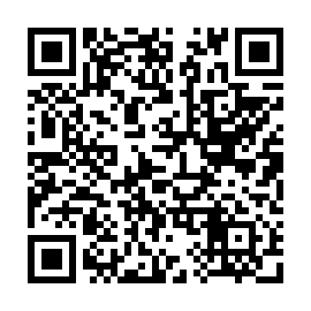 QR code for 390611