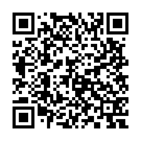 QR code for 392572