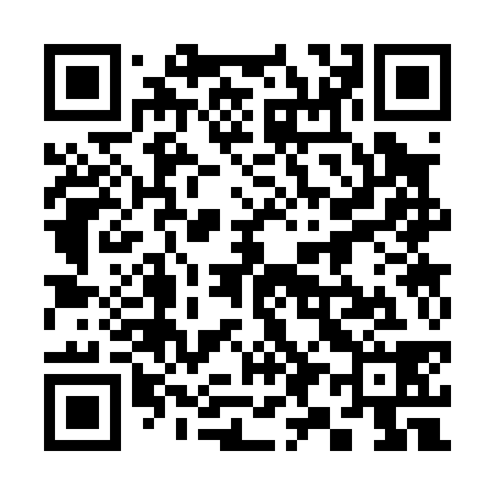 QR code for 393038