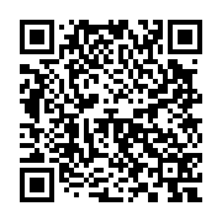 QR code for 393076