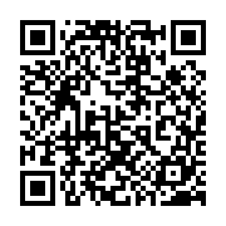 QR code for 393165