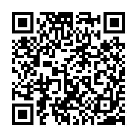 QR code for 393213