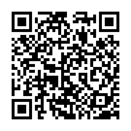 QR code for 393219