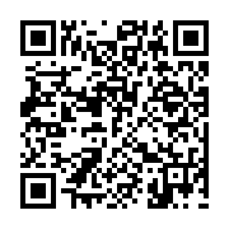 QR code for 393235