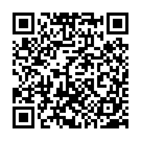 QR code for 393265
