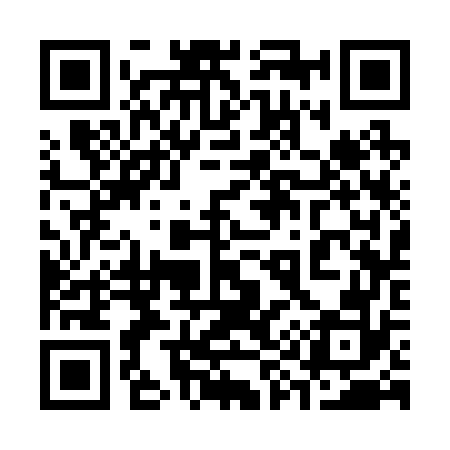 QR code for 393272
