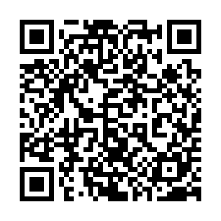 QR code for 393305