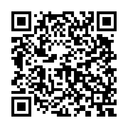 QR code for 393482