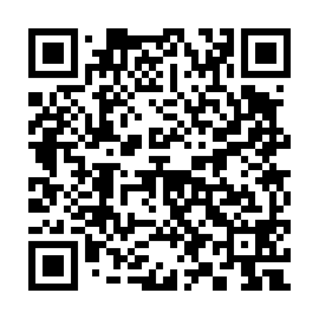 QR code for 393498