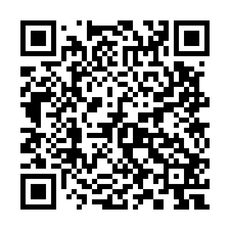 QR code for 393502