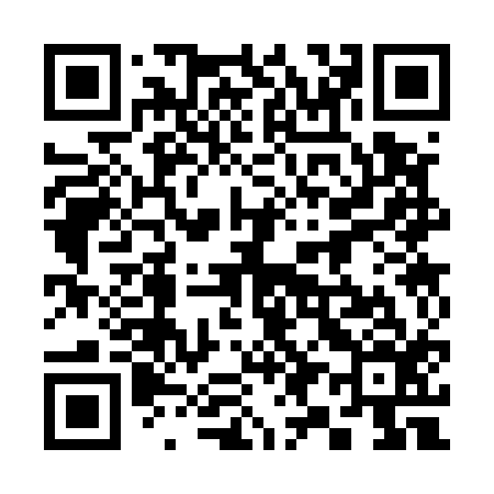 QR code for 393516