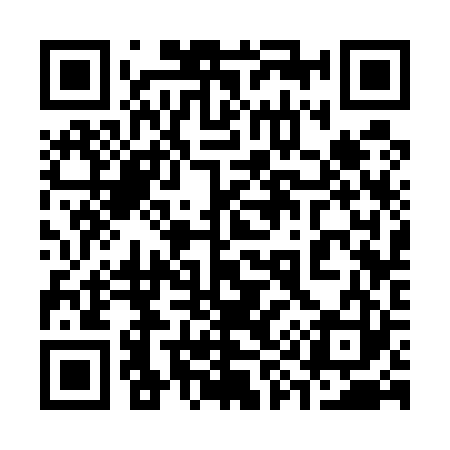 QR code for 393523