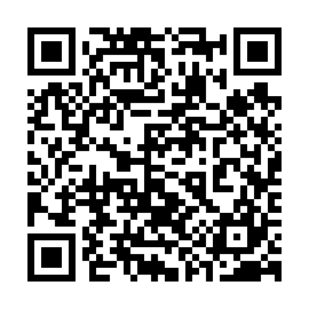QR code for 393627