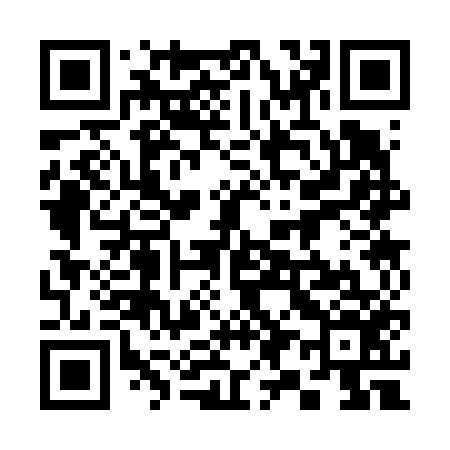 QR code for 393656