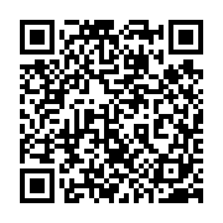 QR code for 393661