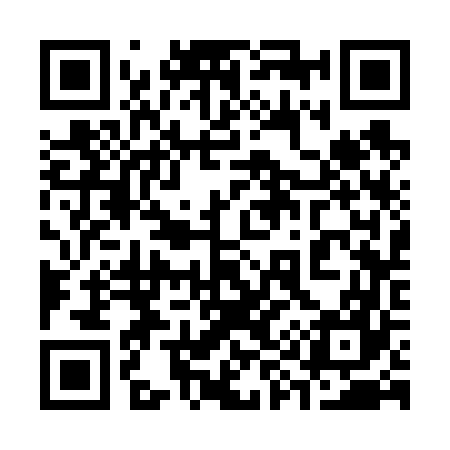 QR code for 393667