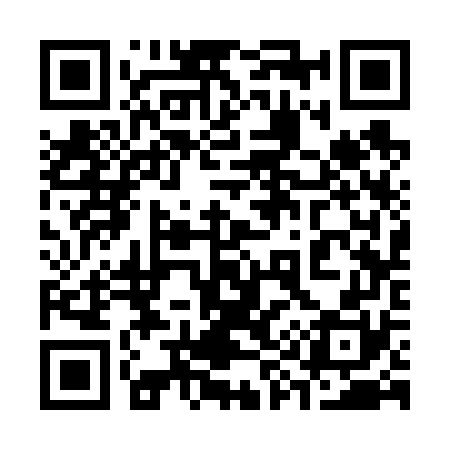 QR code for 393670