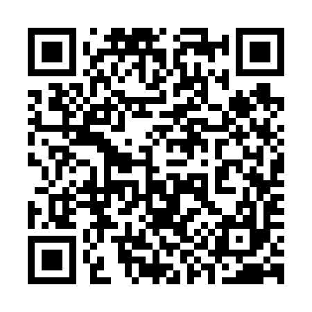 QR code for 393697