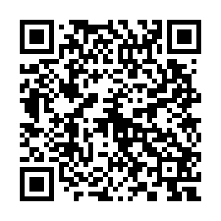QR code for 393702
