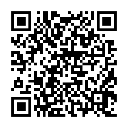 QR code for 393746